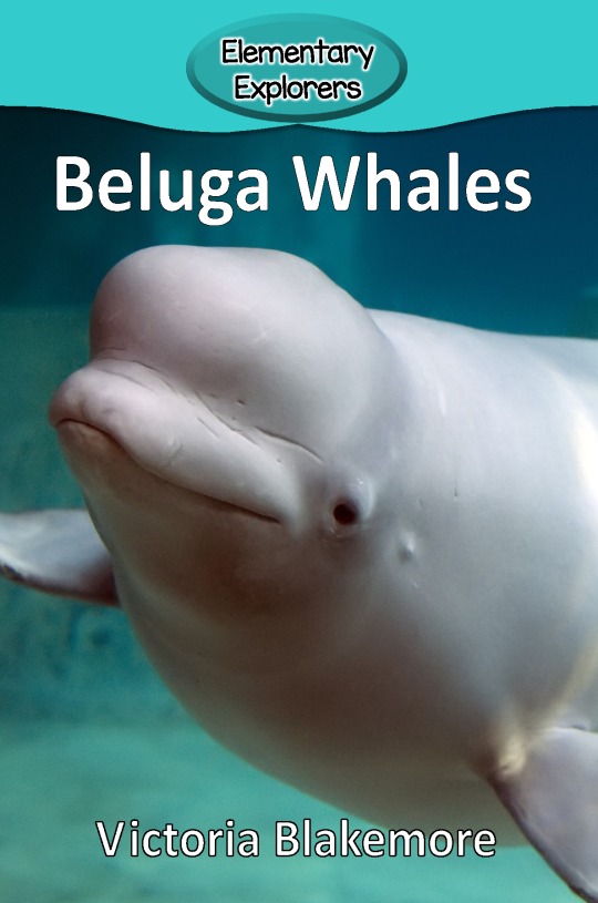 Beluga Whales- Reader_Page_01