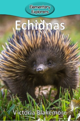 Echidnas- Reader_Page_01