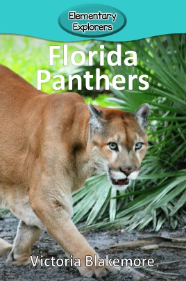 Florida Panthers- Reader_Page_01