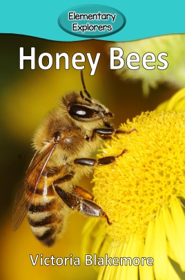 Honey Bees- Reader_Page_01
