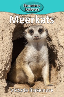 Meerkats- Reader_Page_01