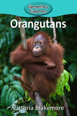 Orangutans- Reader_Page_01