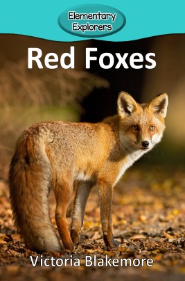 Red Foxes- Reader_Page_01