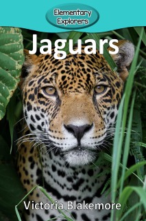 Jaguars- Reader_Page_1