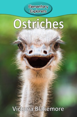 Ostriches- Reader_Page_1