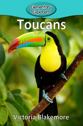 Toucans- Reader_Page_1